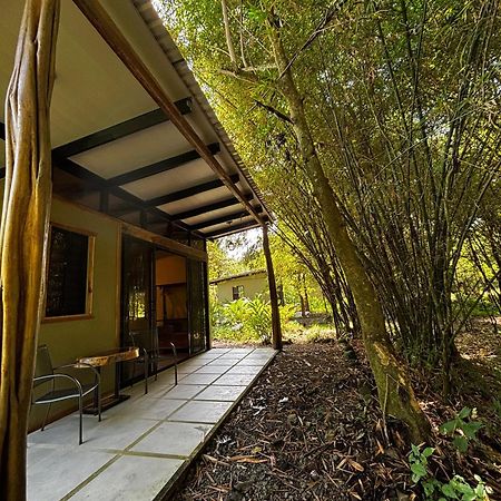 Bamboo River Lodge Horquetas Exterior foto