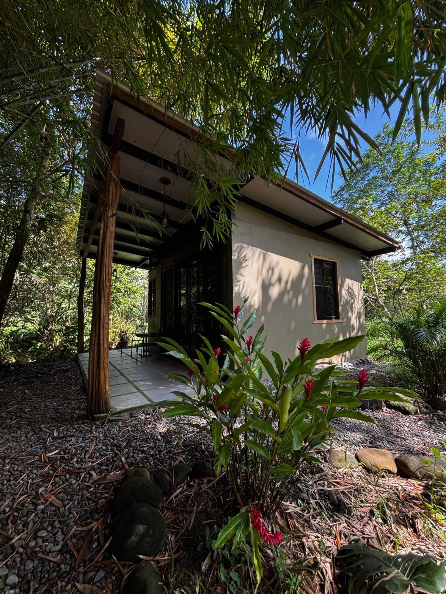 Bamboo River Lodge Horquetas Exterior foto